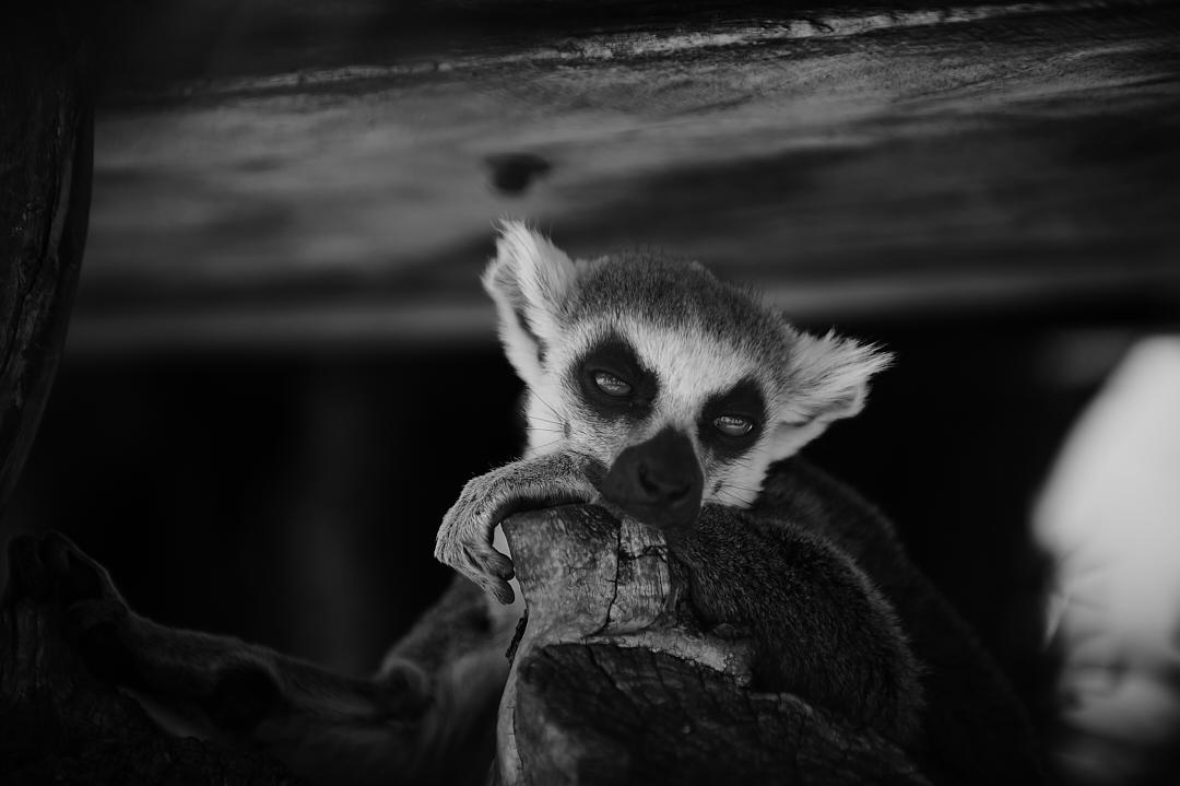 Featured photograph 04